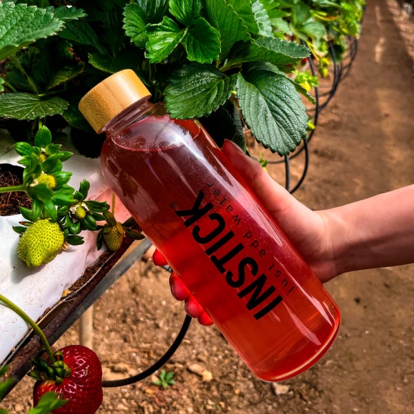 Protein drink without sugar